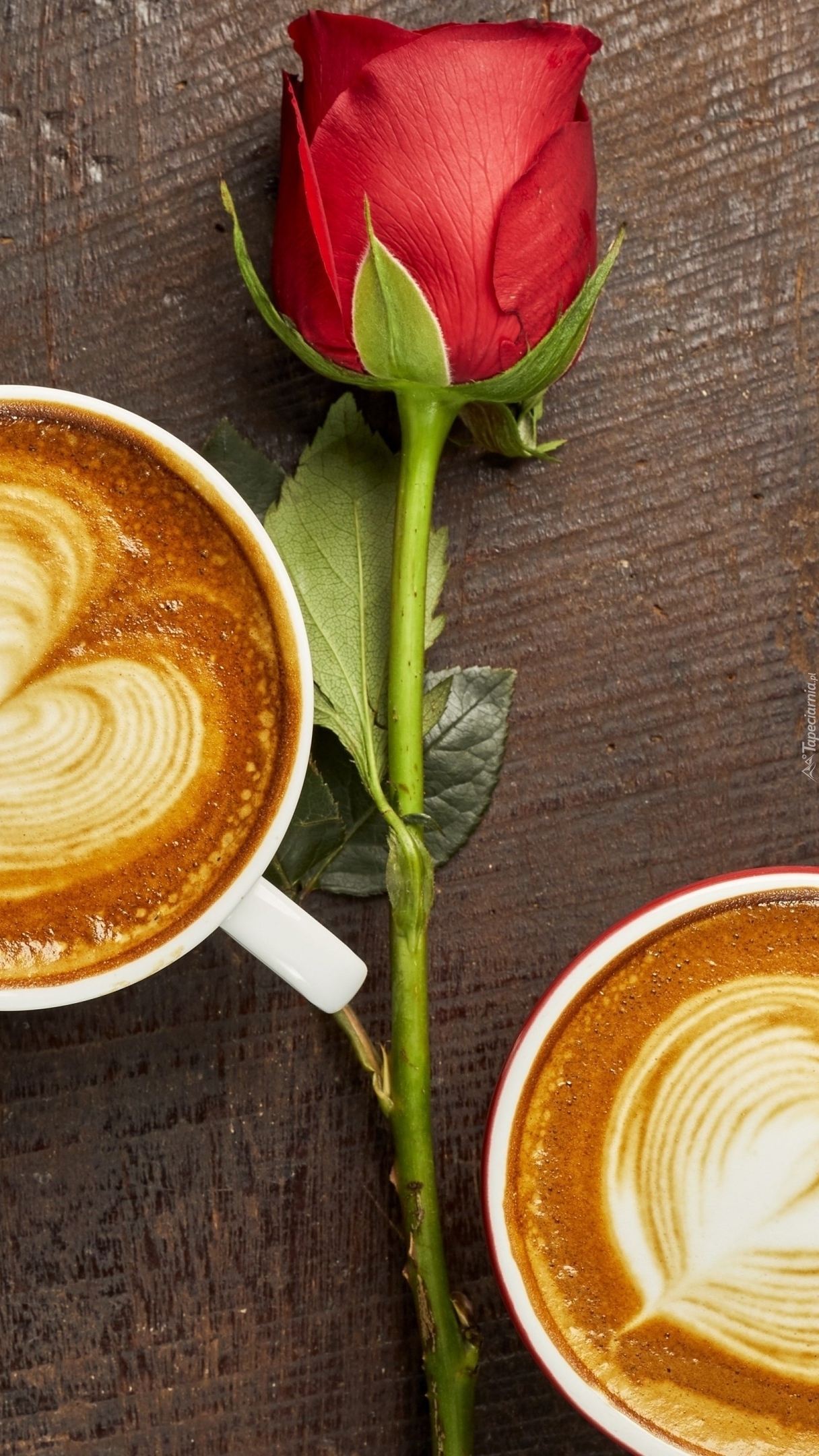 Kawy obok czerwonej róży