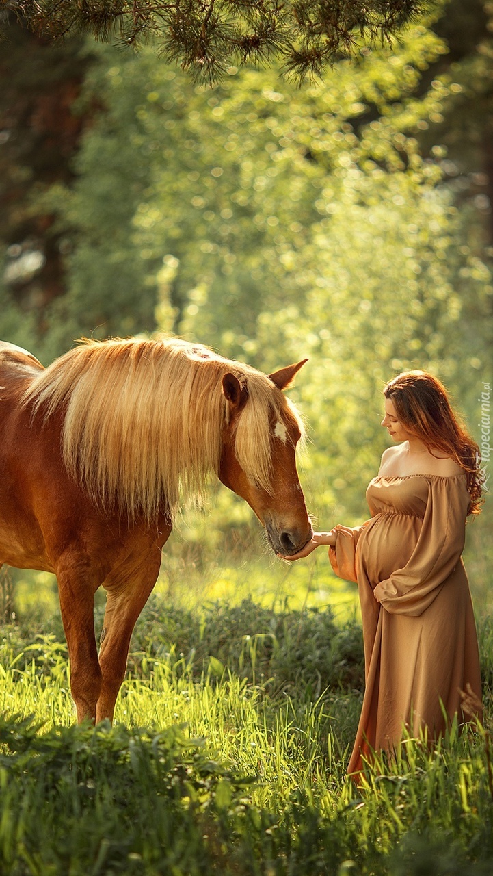 Kobieta w ciąży obok konia