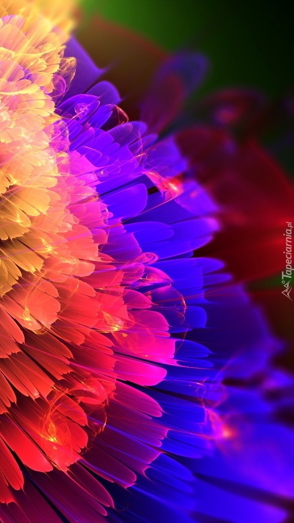 Kolorowe odcienie kwiatu w abstrakcji