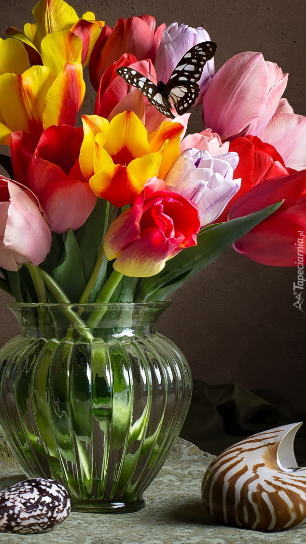 Kolorowe tulipany w szklanym wazonie
