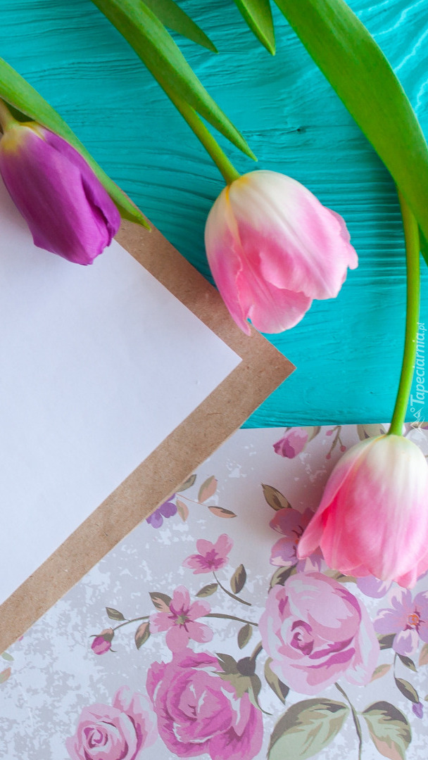 Kolorowy papier obok tulipanów