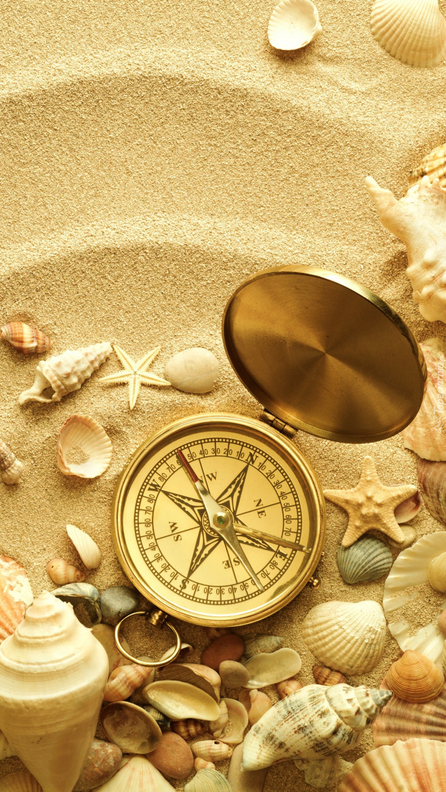 Kompas i muszelki na piasku