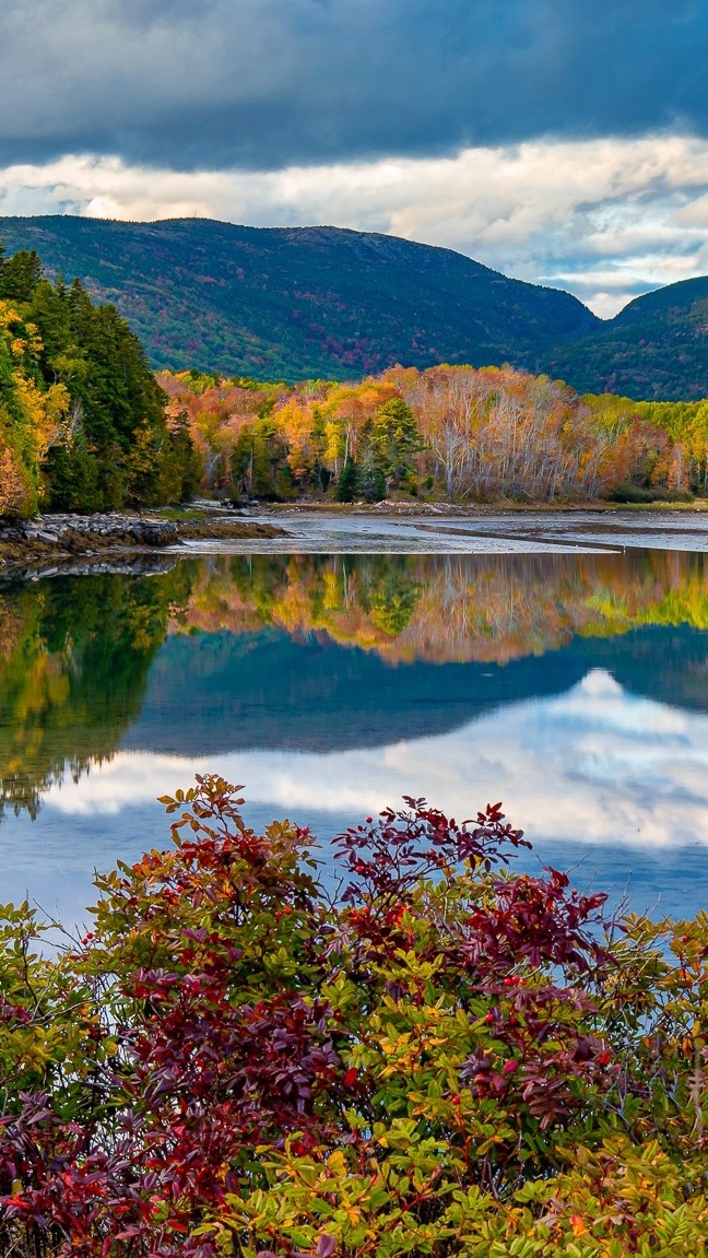 Lasy i roślinność nad jeziorem Jordan Pond z górami Bubble Mountains w tle w Parku Narodowym Acadia