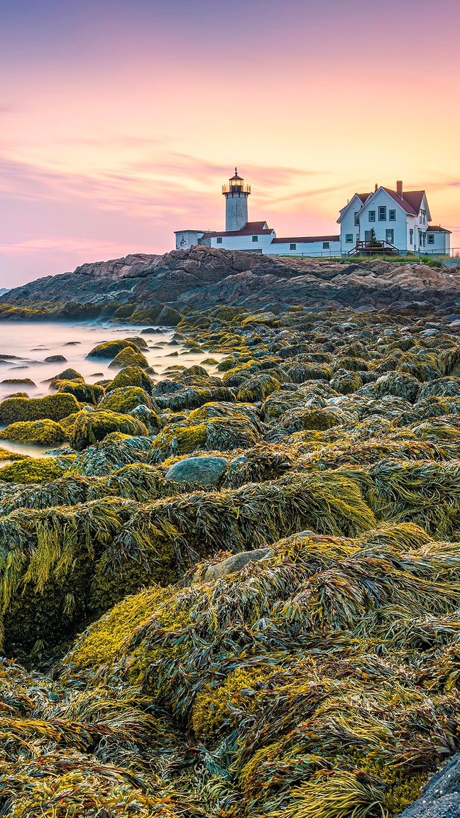 Latarnia morska Nobska Point Light na skałach w zatoce Cape Cod Bay