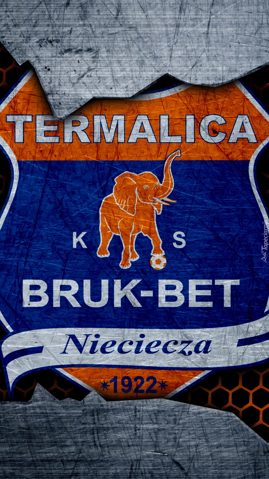 Logo Bruk-Bet Termalica Nieciecza