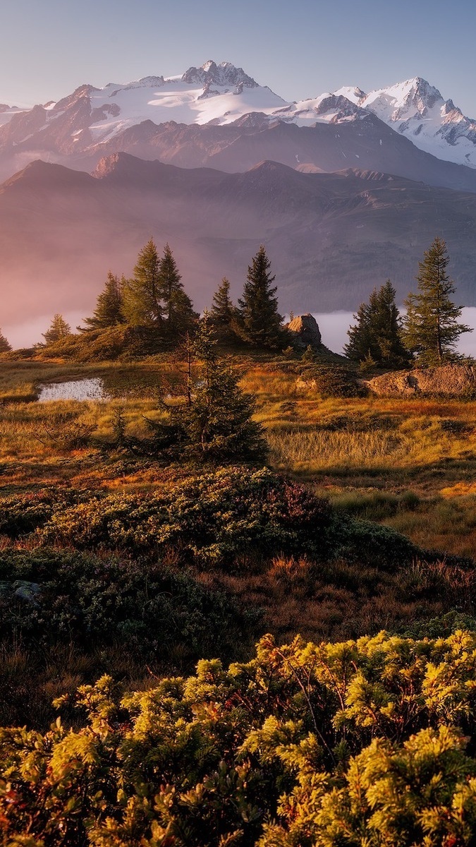 Mgła nad Alpami