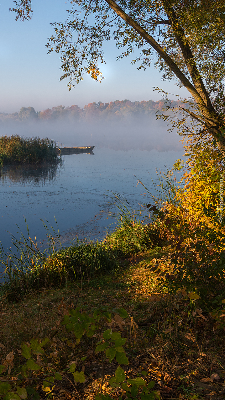 Mgła nad jeziorem