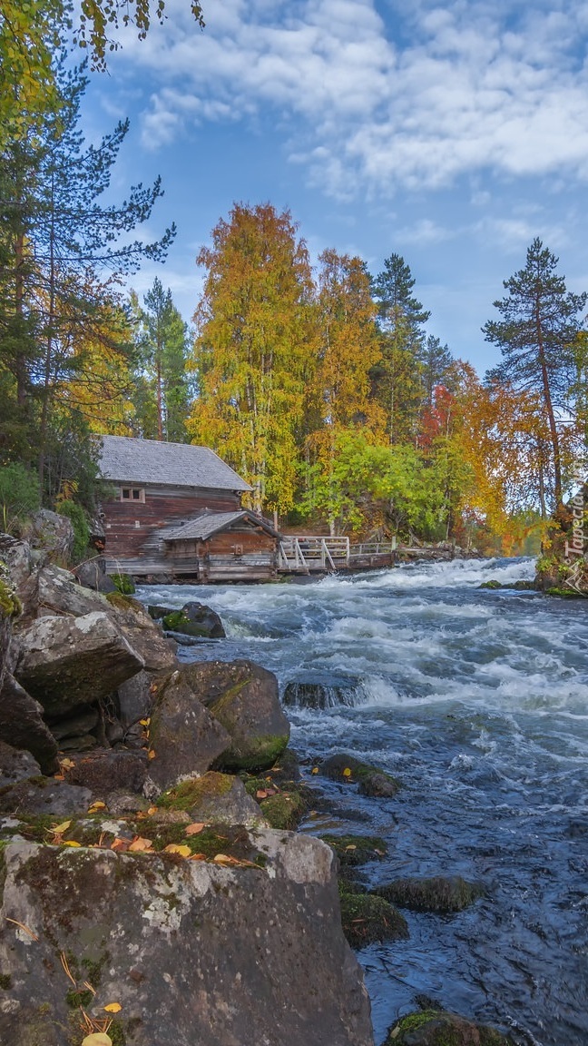 Młyn Myllykoski nad rzeką w Parku Narodowym Oulanka