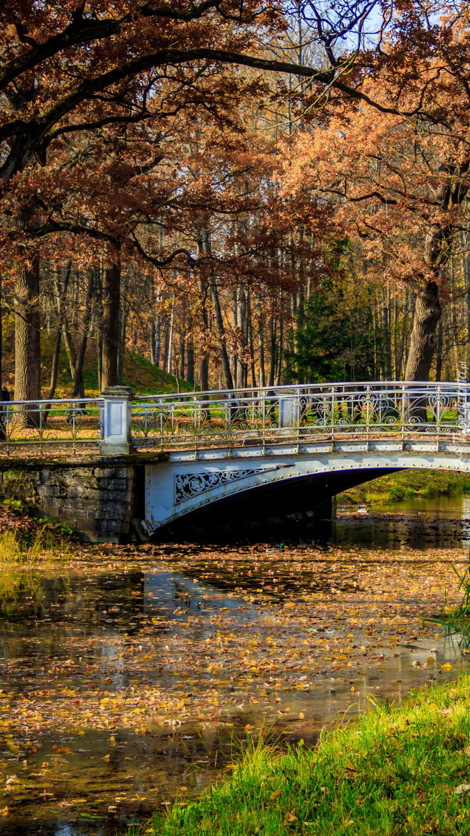 Mostek nad rzeką w parku