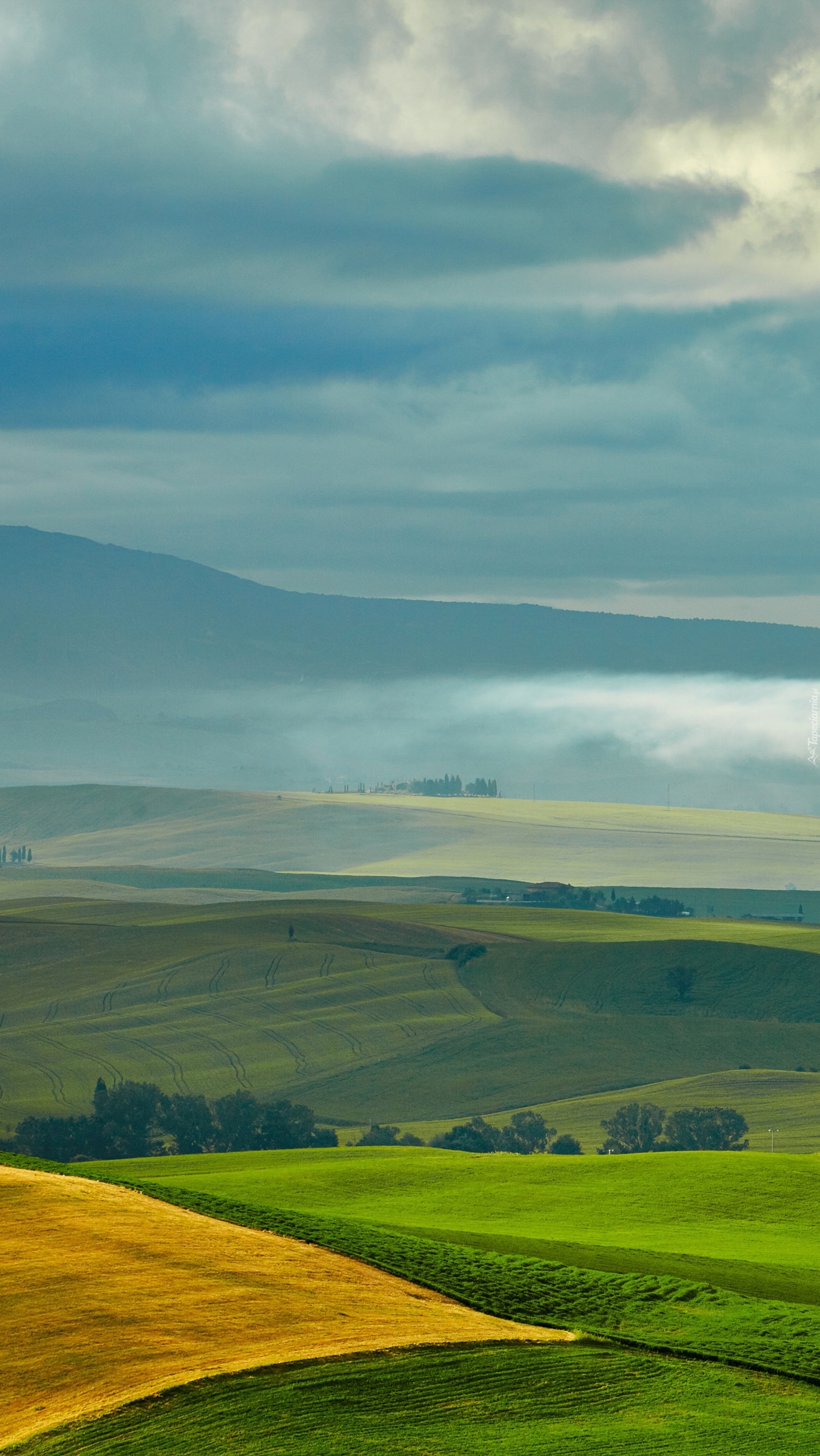 Niebo nad polami i łąkami