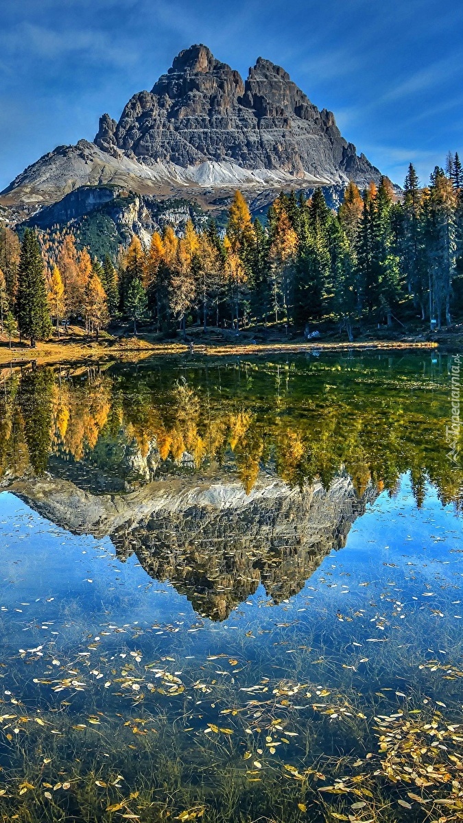 Odbicie gór i drzew w jeziorze Antorno Lake