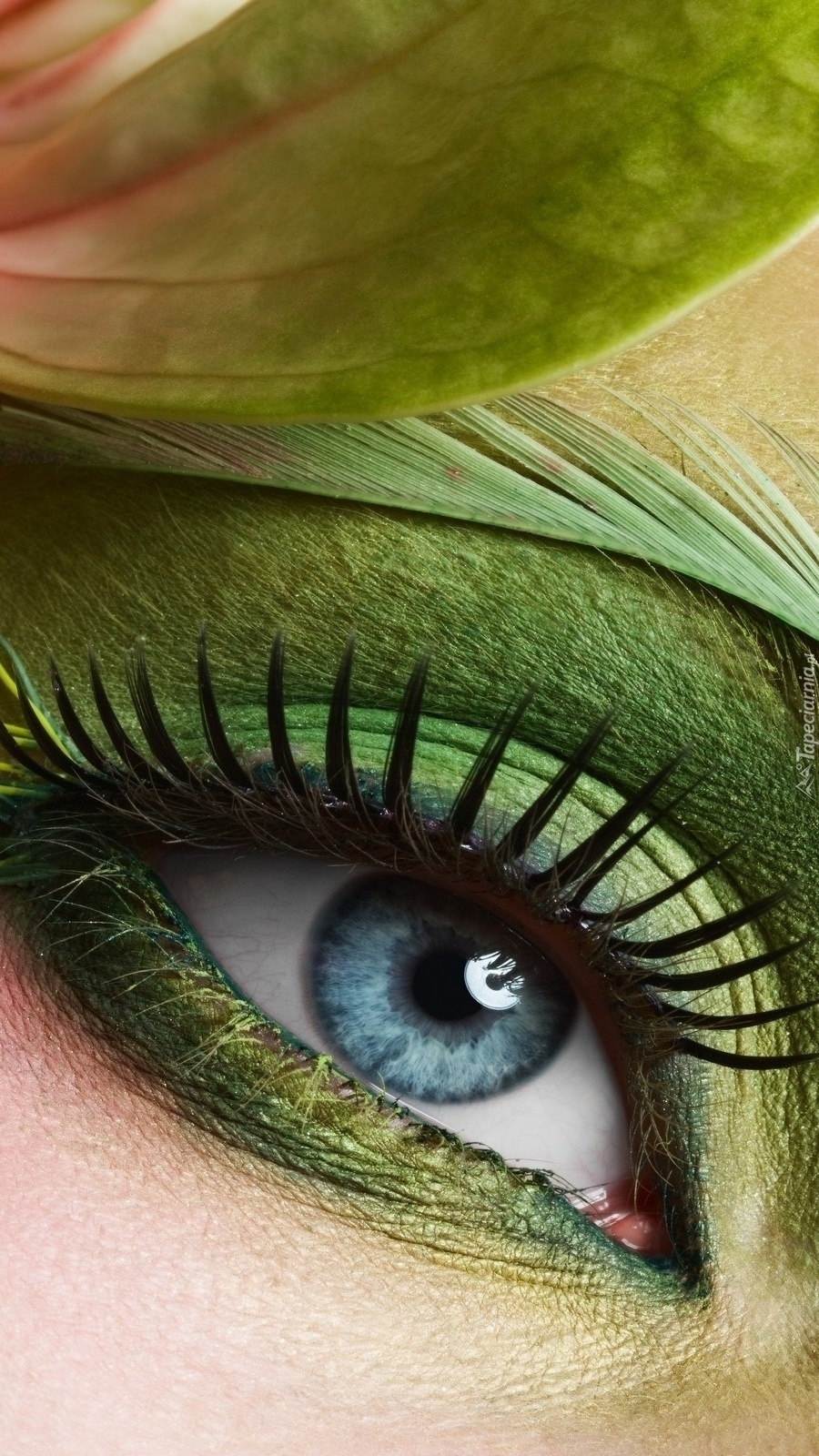 Oko w zieleni
