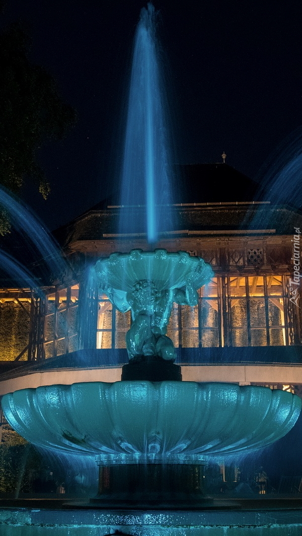 Oświetlona fontanna przed domem