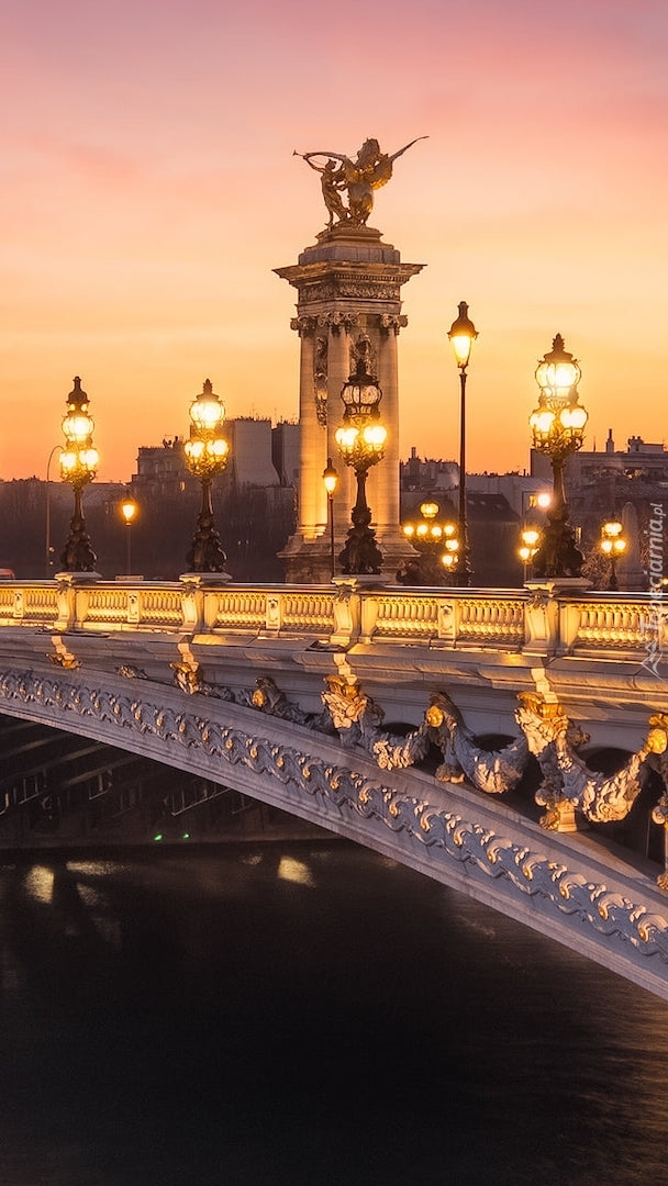 Oświetlony Most Aleksandra III w Paryżu