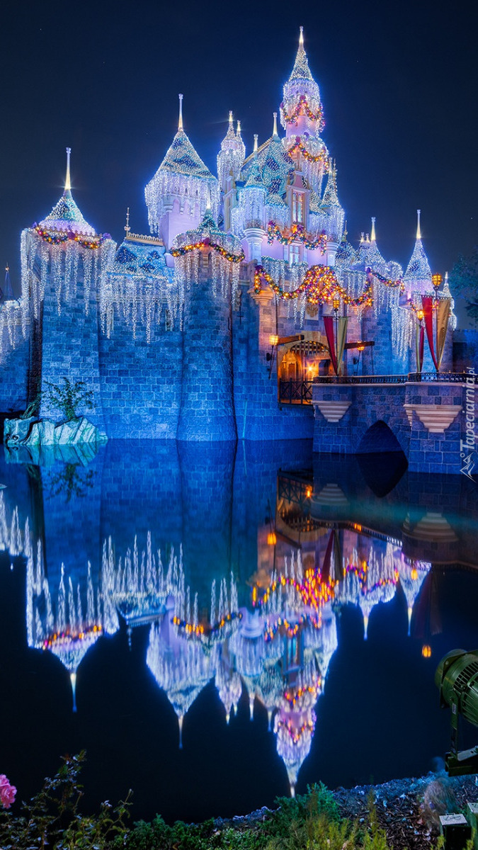 Oświetlony Zamek Śpiącej Królewny w Disneylandzie