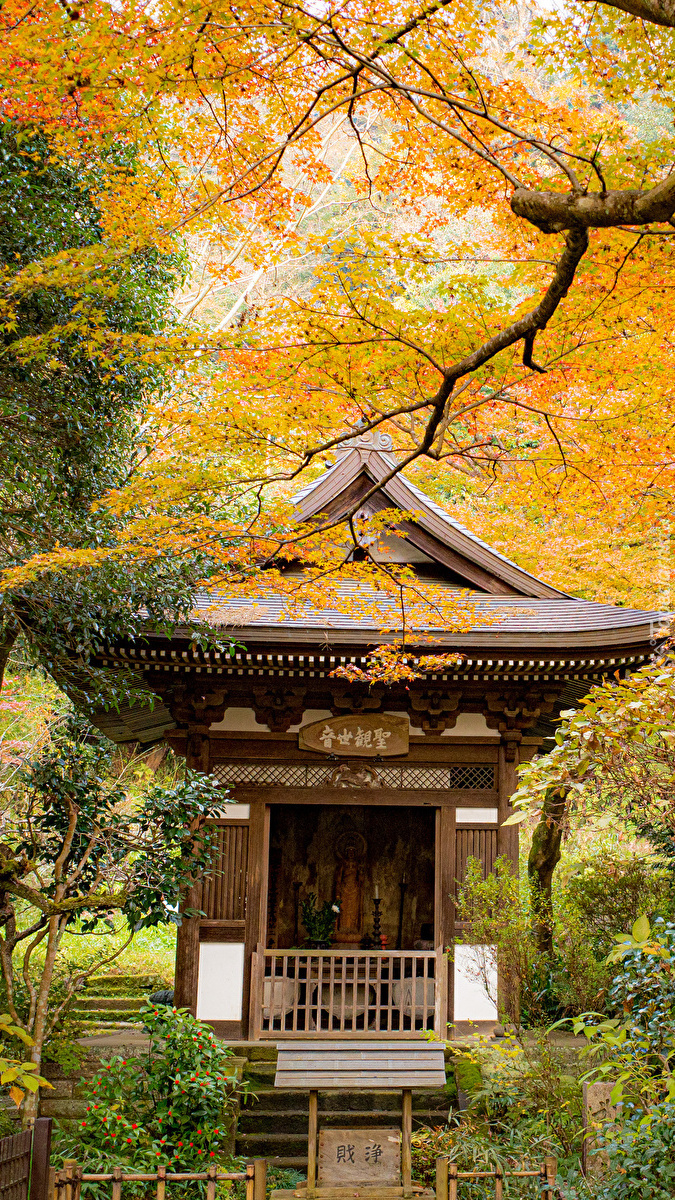 Pagoda wśród jesiennych drzew