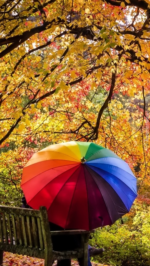 Para na ławce pod kolorową parasolką