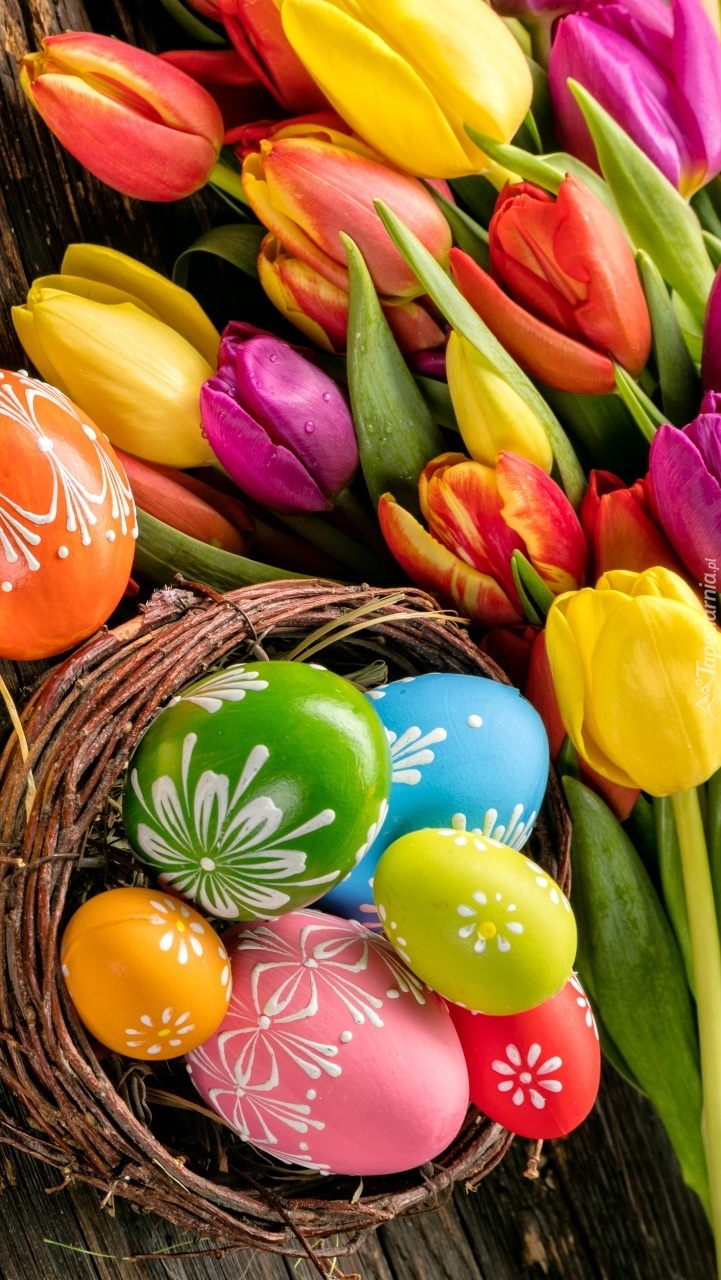 Pisanki w koszyku i kolorowe tulipany