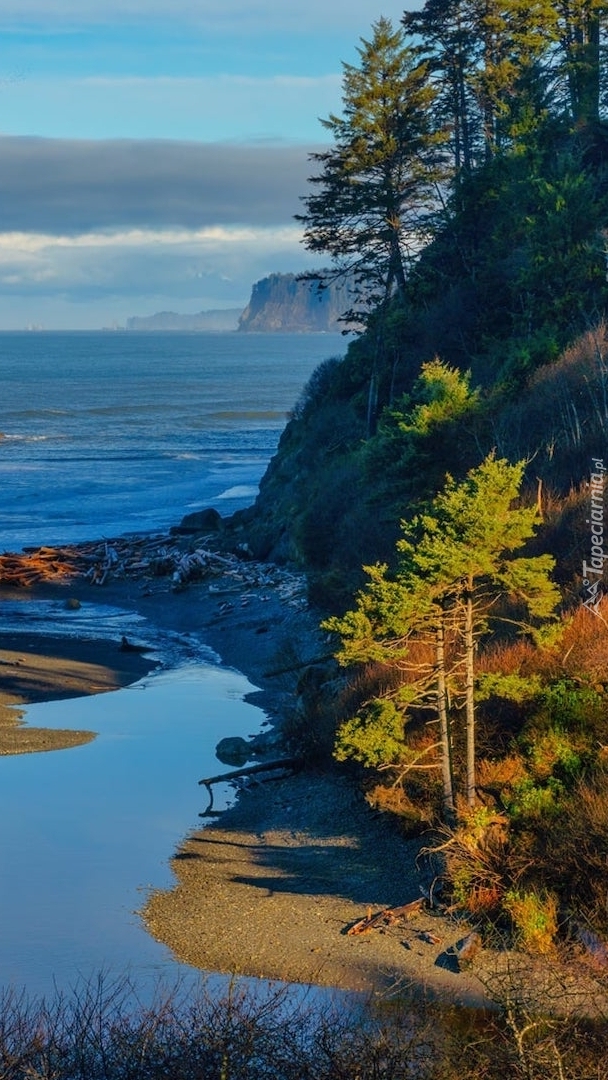 Plaża Ruby Beach