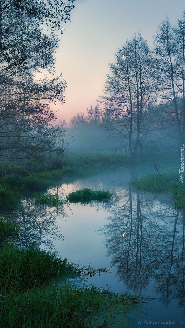 Poranna mgła nad rzeką