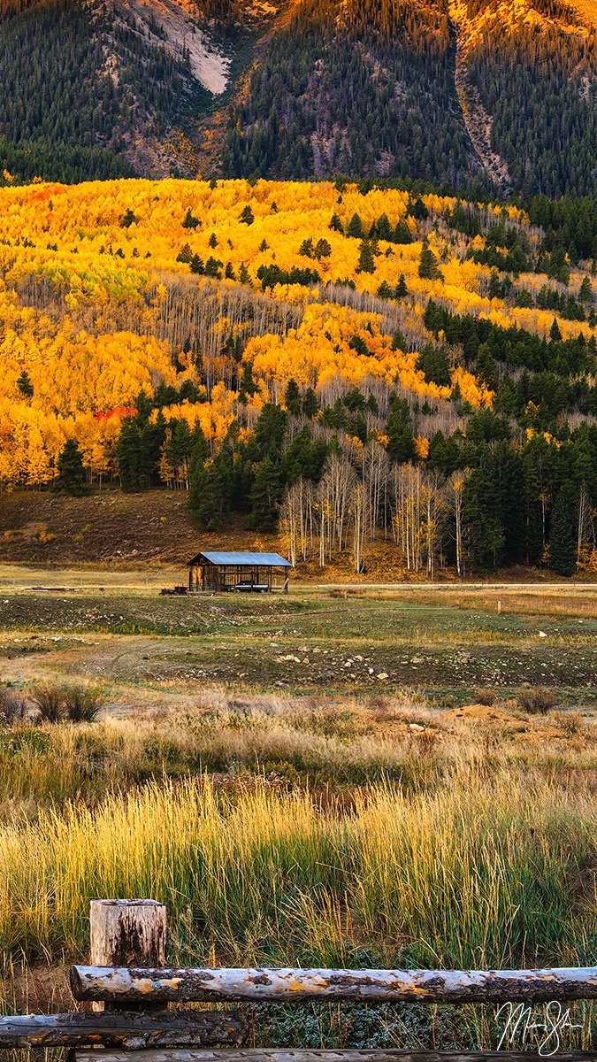 Pożółkłe drzewa u podnóża gór w Crested Butte w Kolorado