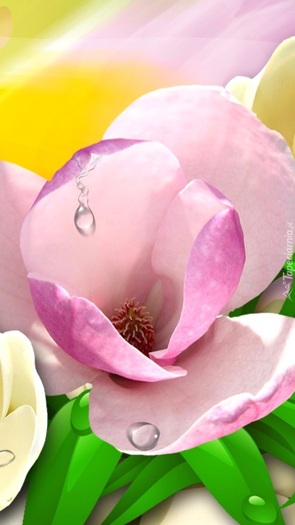 Rosa na płatkach magnolii