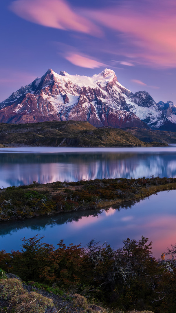 Roślinność nad jeziorami i ośnieżone góry w Parku Narodowym Torres del Paine