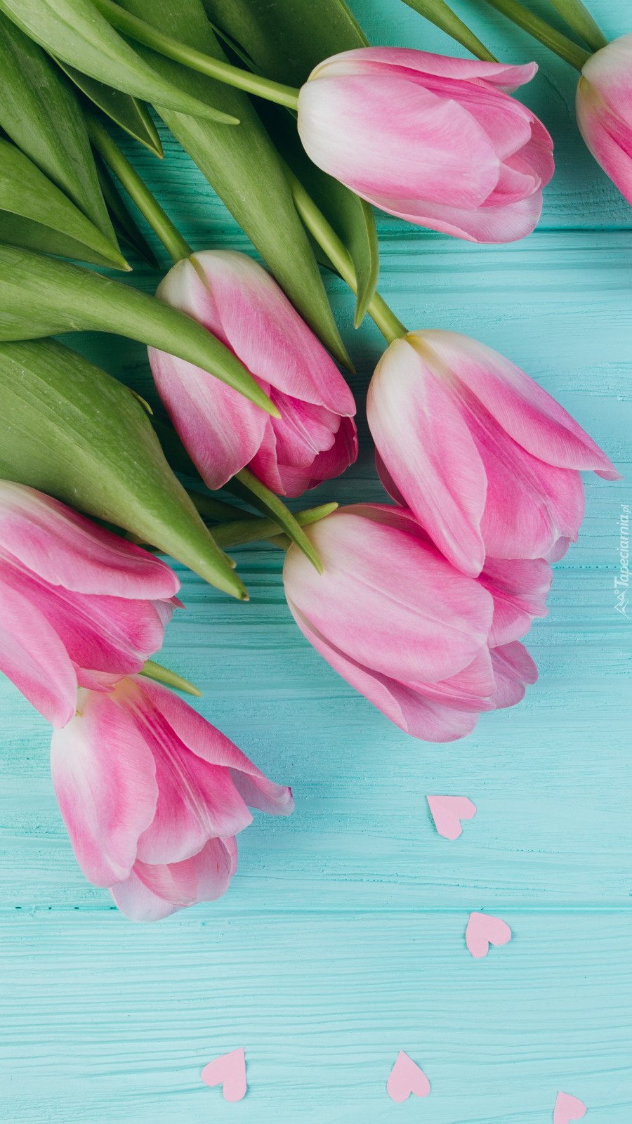 Różowe tulipany i rozsypane serduszka