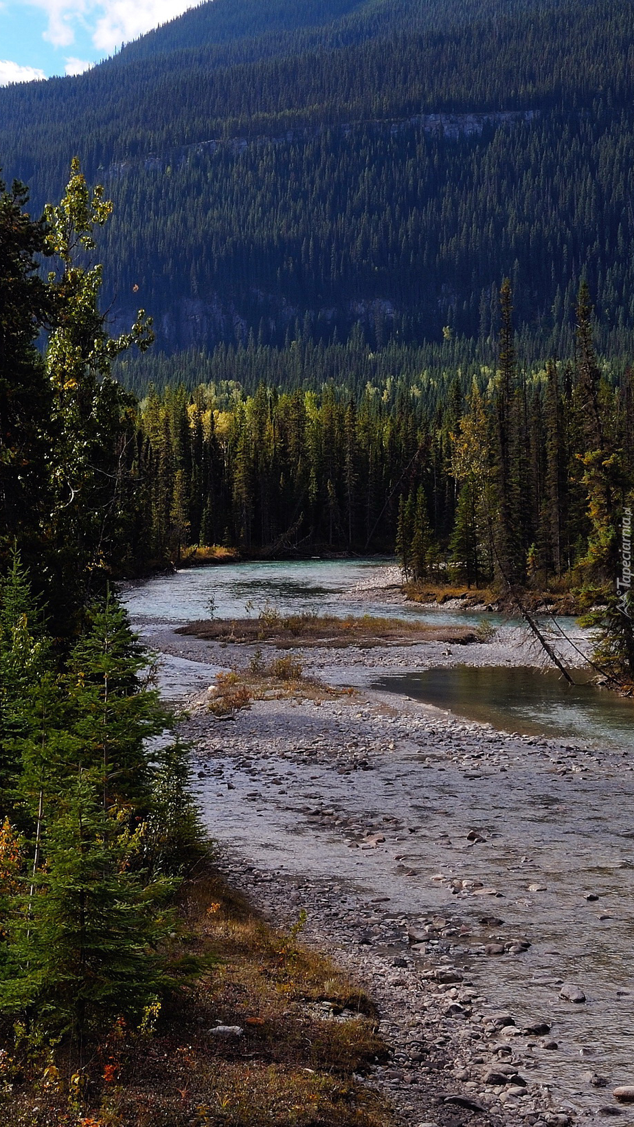 Rzeka w Mount Robson Provincial Park w Kanadzie