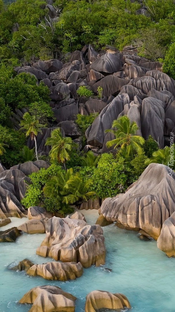 Skały i palmy na wybrzeżu wyspy La Digue