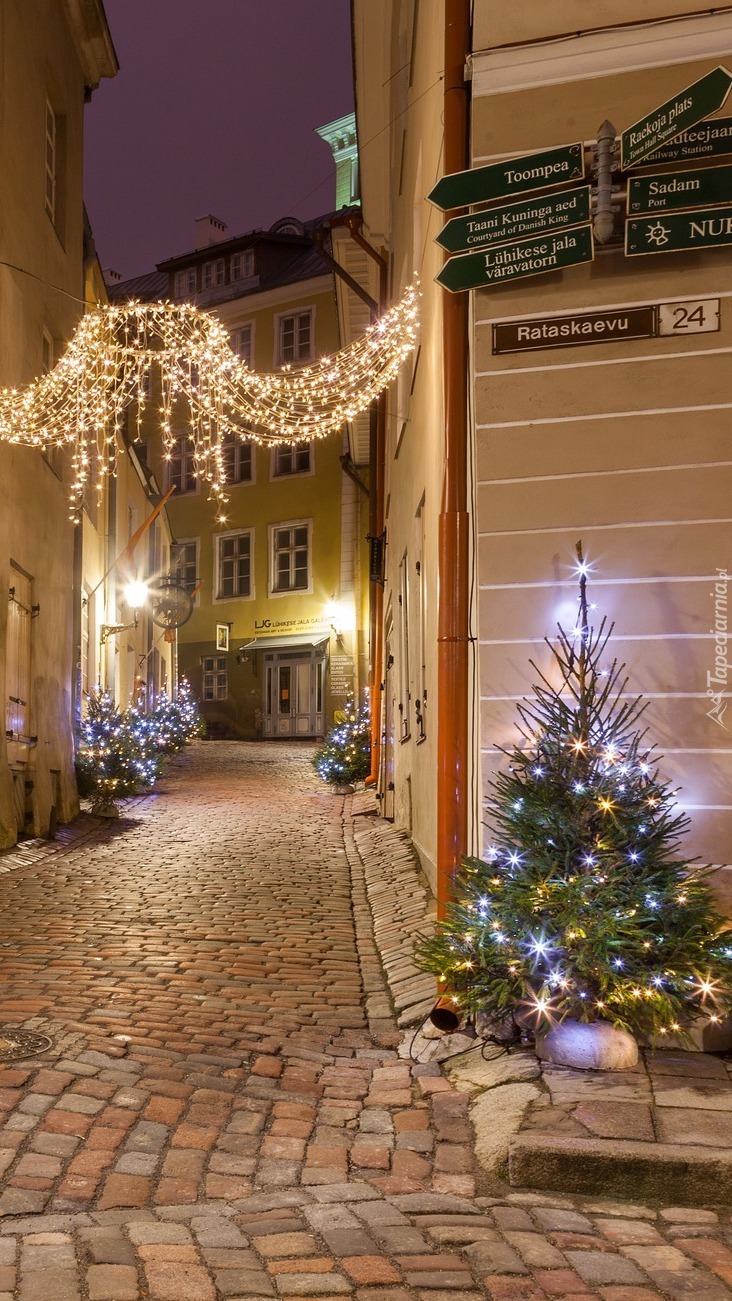 Świąteczna dekoracja ulicy w Tallinie