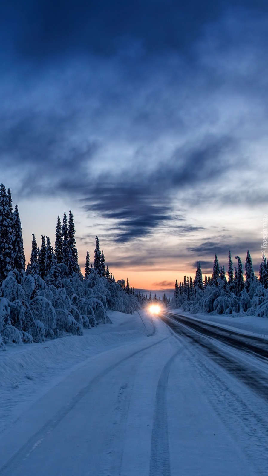 Światła samochodu na drodze w zimowym lesie
