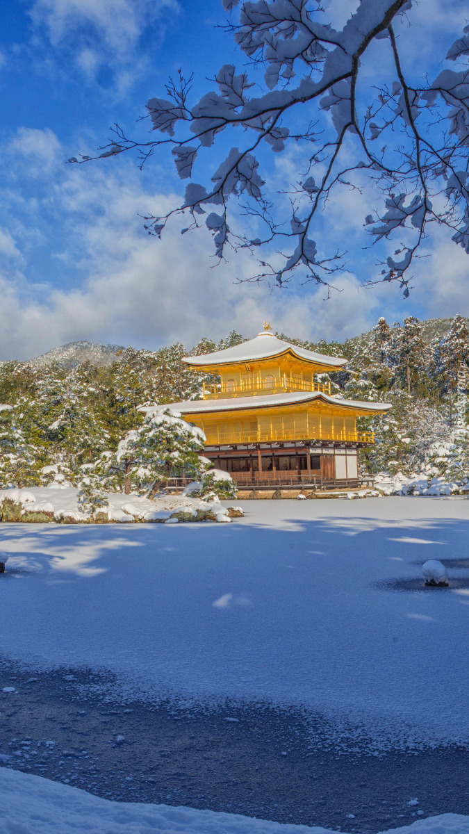 Świątynia Kinkaku ji nad stawem Kyko chi zimową porą