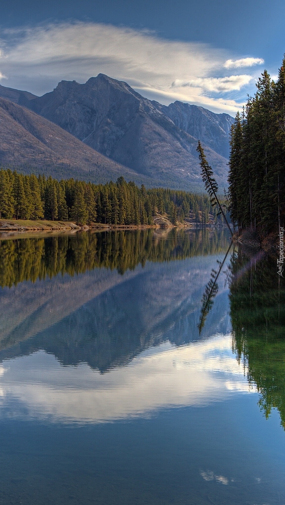 Świerki nad jeziorem