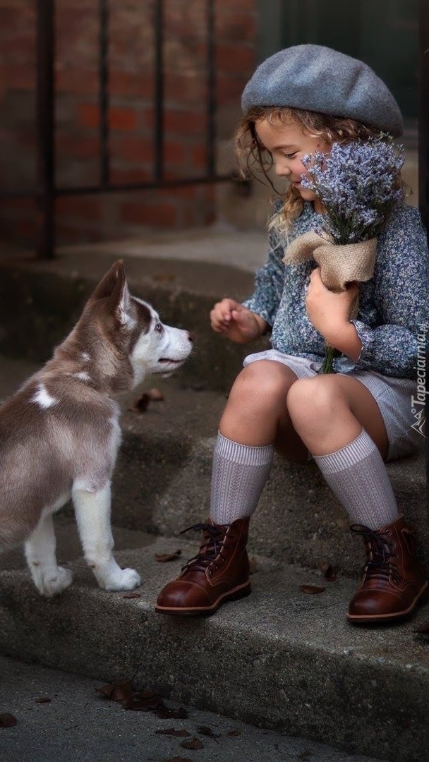 Szczeniak siberian husky obok dziewczynki w berecie