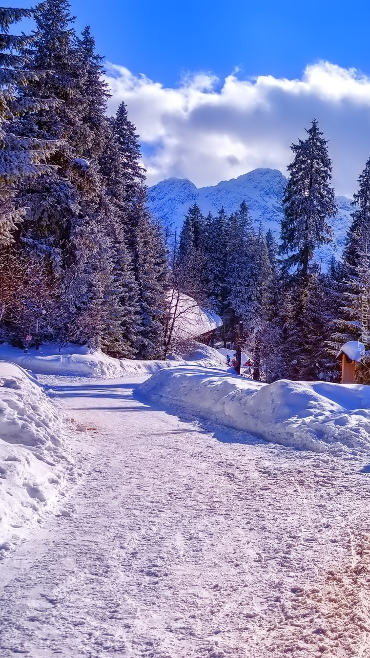 Tatry w zimowej szacie