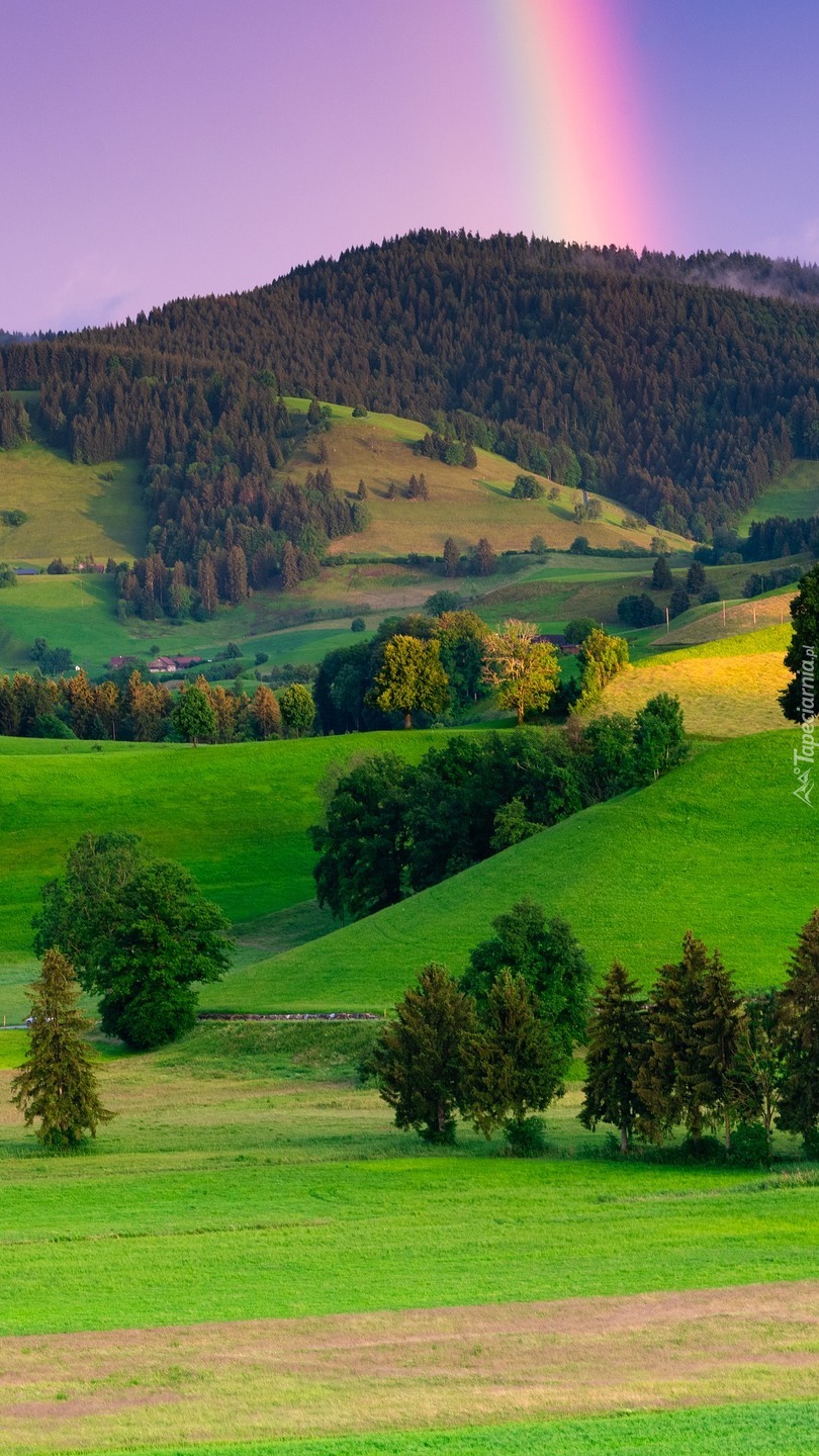 Tęcza nad zalesionymi górami