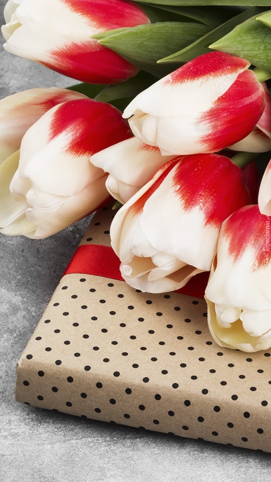 Tulipany na prezencie