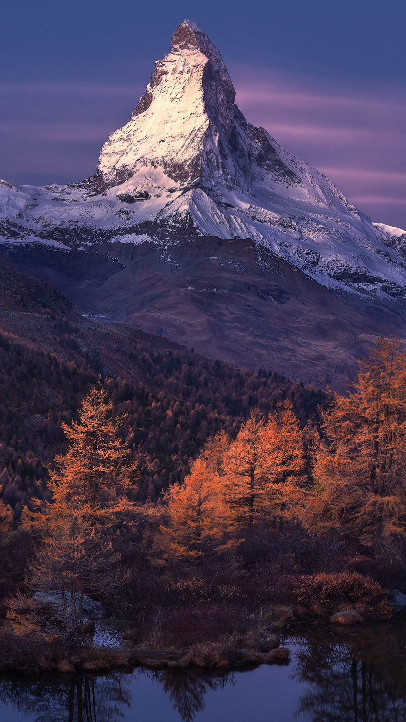 Widok na jesienne drzewa i ośnieżony szczyt Matterhorn w Alpach Pennińskich