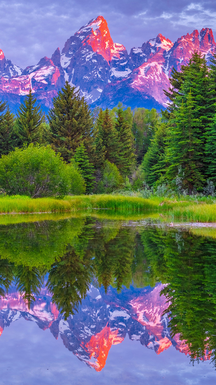 Widok znad rzeki na las i góry w Parku Narodowym Grand Teton