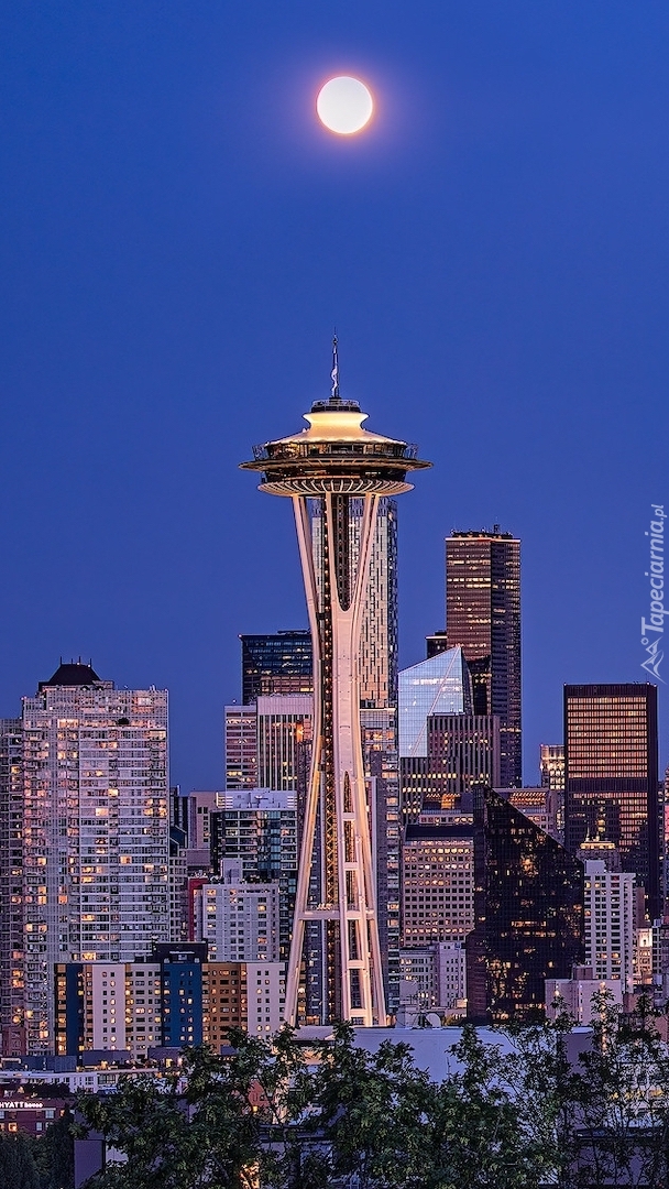Wieża Space Needle w Seattle