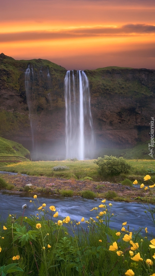 Wodospad Seljalandsfoss i rzeka Seljalandsa w Islandii