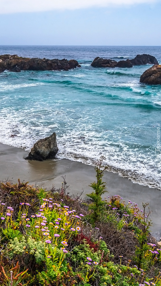 Wybrzeże Big Sur w Kalifornii