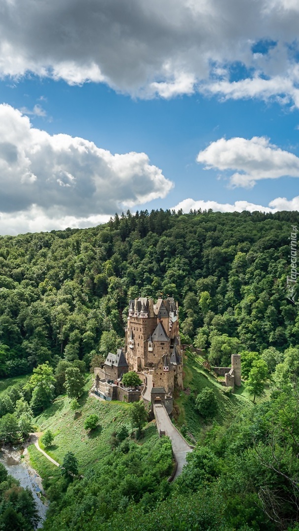 Zamek Eltz na zalesionym wzgórzu
