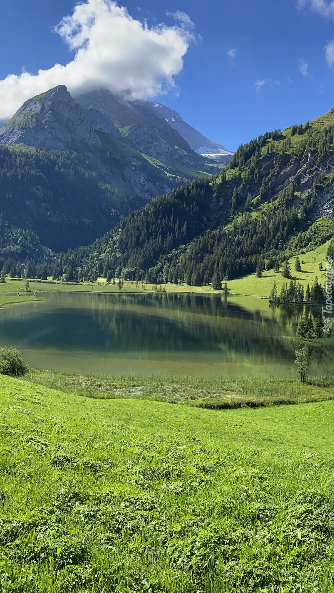 Zielona łąka nad górskim jeziorem