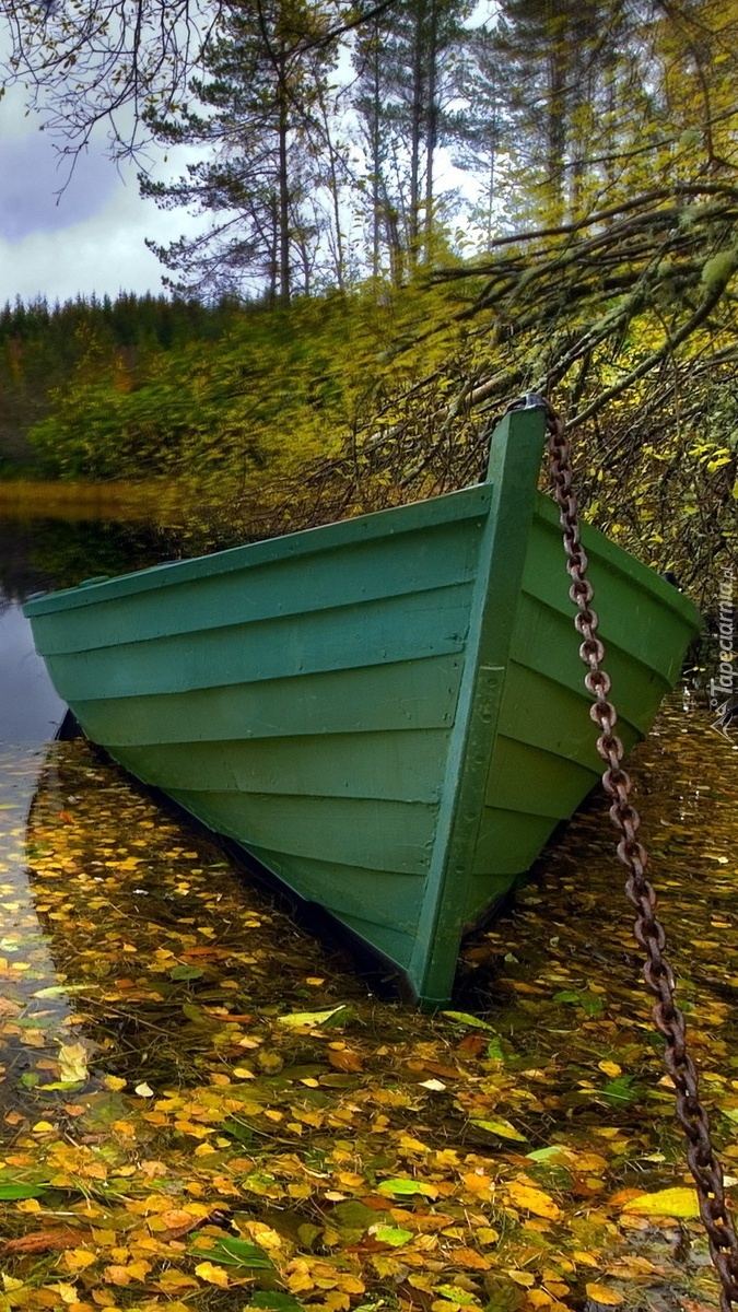 Zielona łódź na brzegu jeziora