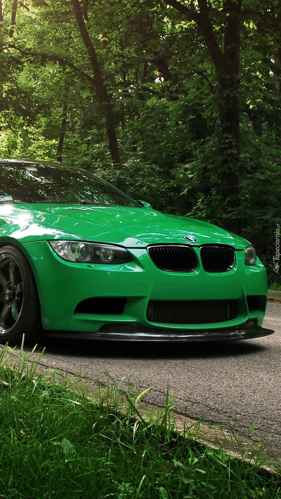 Zielone BMW na leśnej drodze