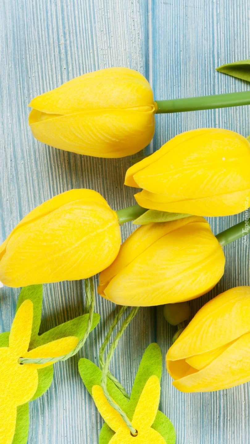 Żółte tulipany na desce