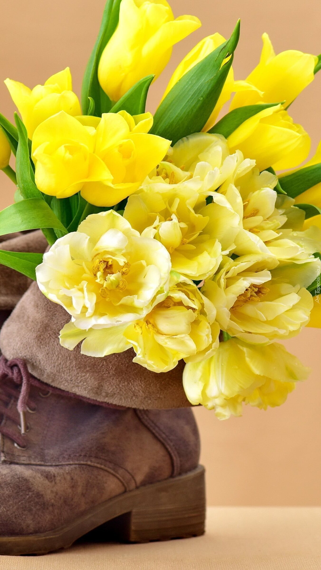 Żółte tulipany w bucie