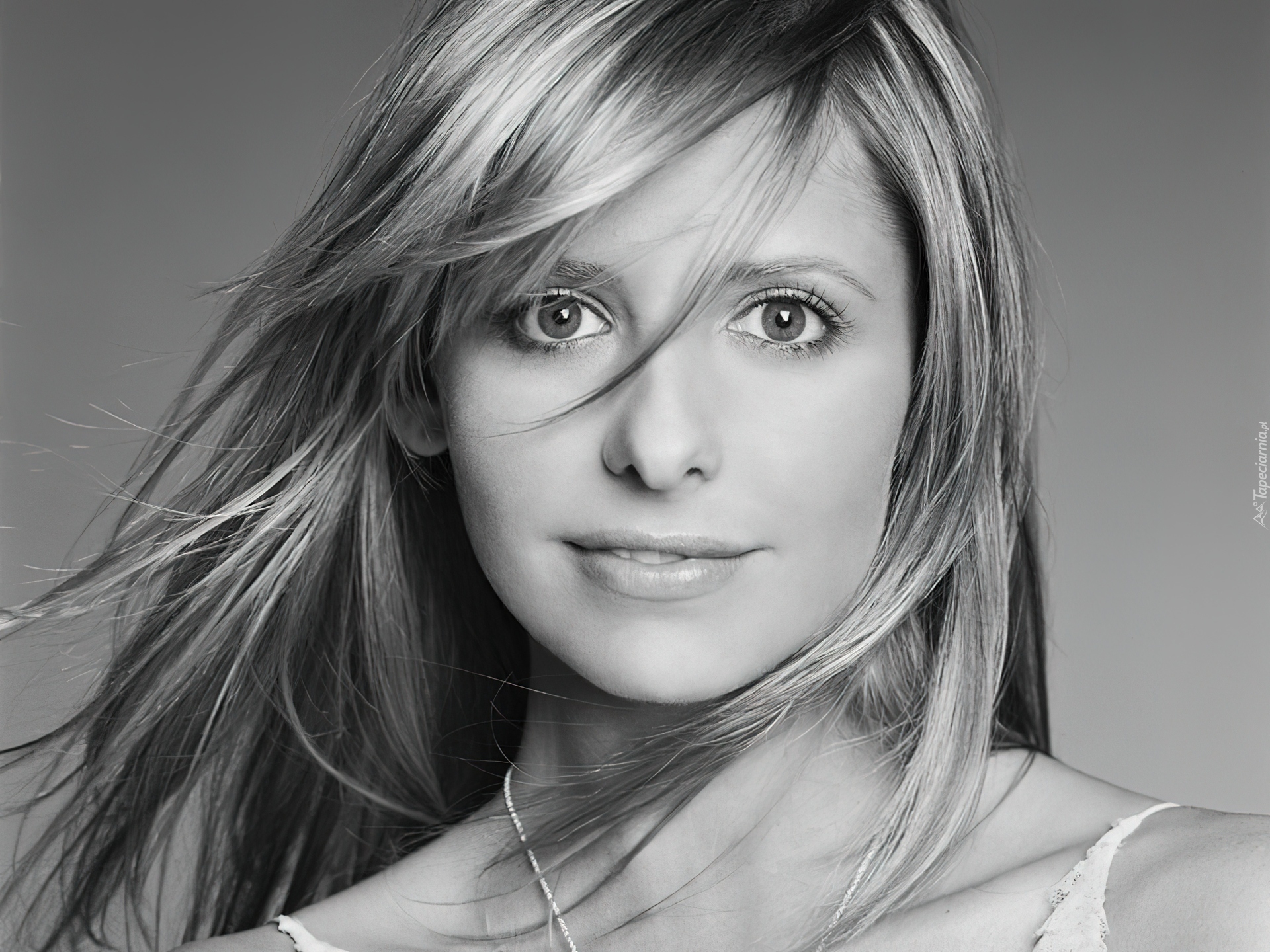 Sarah Michelle Gellar